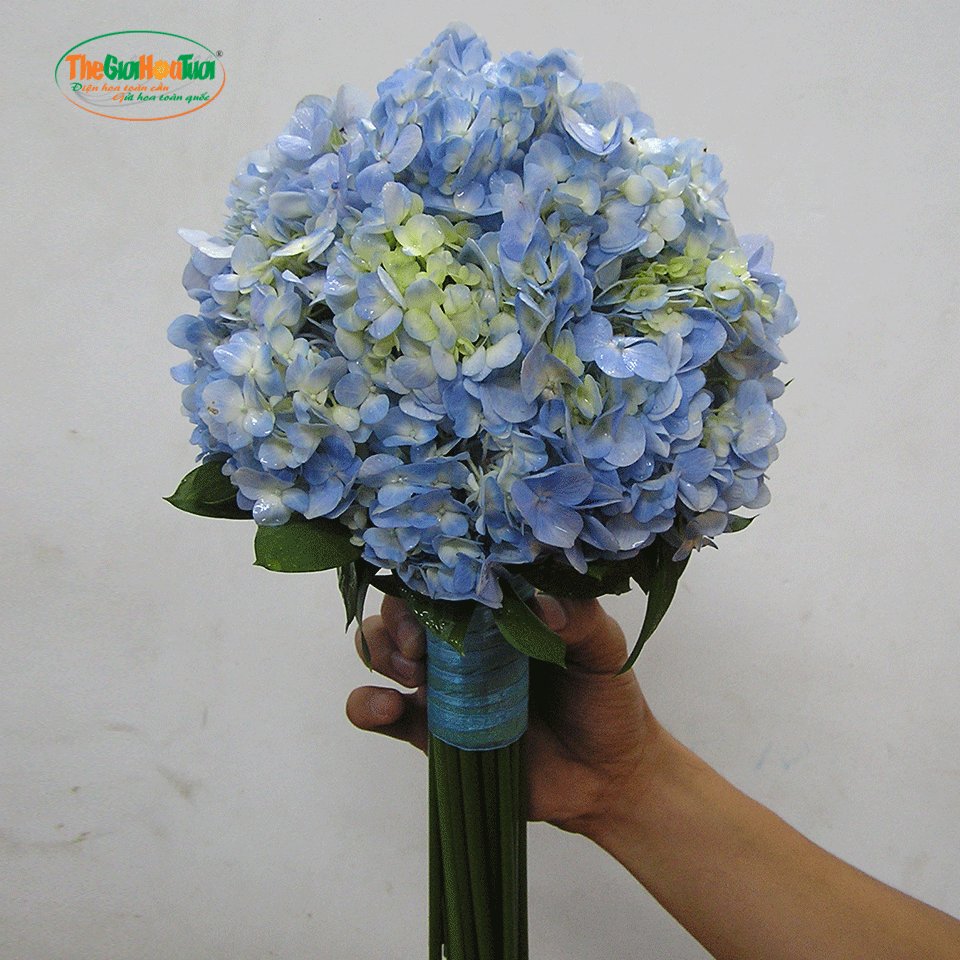 Hoa Tươi Tght 050 Bo Hoa Cưới Cẩm Tu Cầu