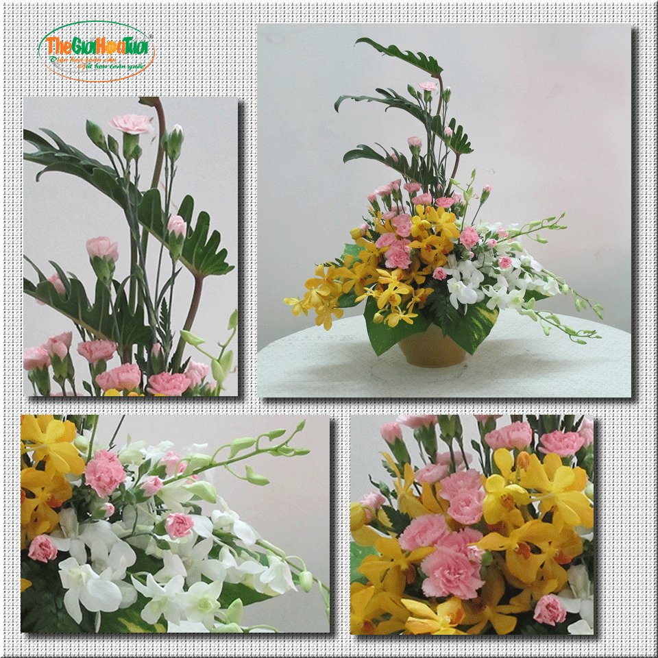 binh-hoa-sinh-nhat