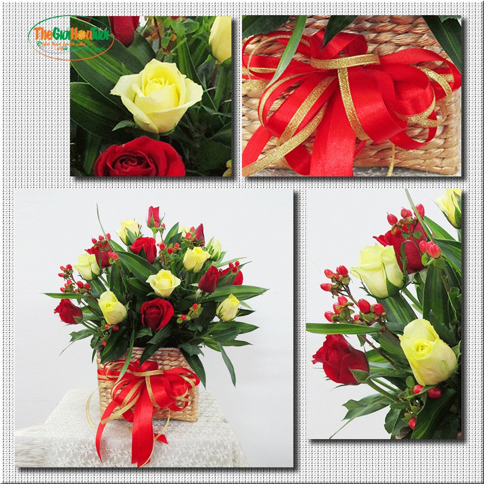 gio-hoa-tang-ban-gai