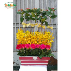 Bình hoa chúc mừng