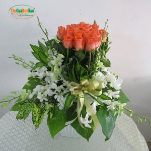 xấu