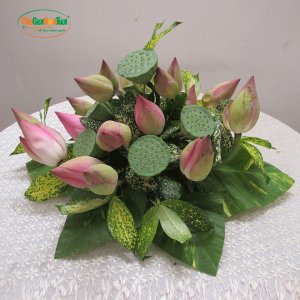 Hoa bình ovan sen hồng