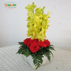 Bình hoa lan vàng