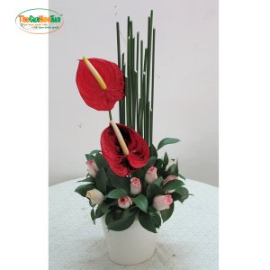 xấu