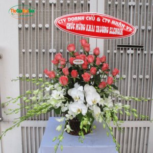 Giỏ hoa chúc mừng khai trương