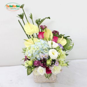 TGHT-001270