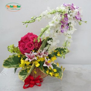TGHT-001281