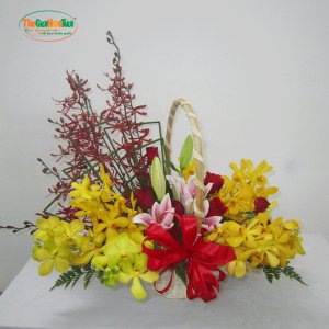 TGHT-001283