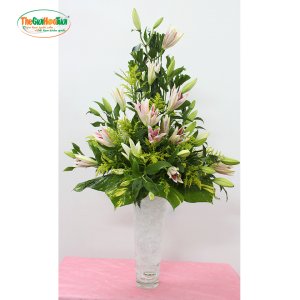TGHT-001300