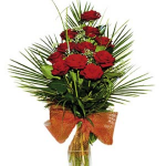 Bouquet of Red Roses (without vase)