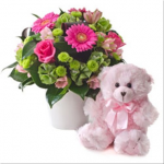 Bright Mixed Arrangement with a Teddy Bear (pink)