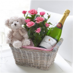 Celebratory Baby Girl Gift Basket