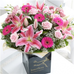 Extra Large Pink Radiance Hand-tied