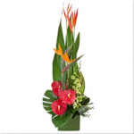 Large Tropical Arrangement in a Ceramic Container