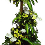 Royal Plant Arrangement with Flowers