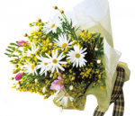 Seasonal Bouquet(yellow and white)