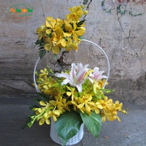 Giỏ hoa lan 2 tầng