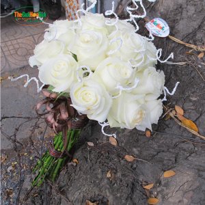Bó hoa hồng trắng bó tròn tự nhiên